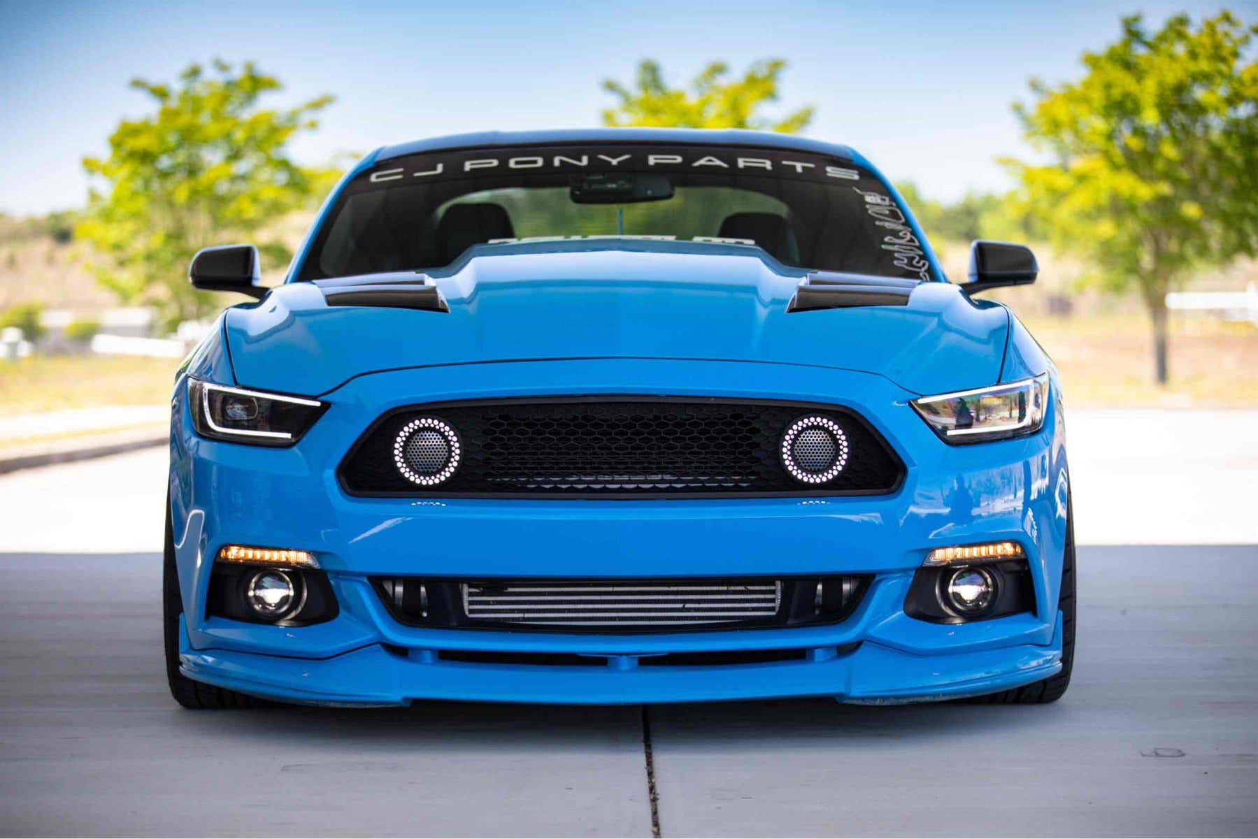 Morimoto XB LED Turns: Ford Mustang (15-17) (Pair / Smoked) LF411 - Flex Offroad
